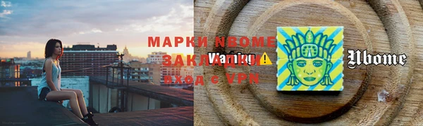 соль ск Краснослободск