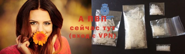 мяу мяу мука Кодинск